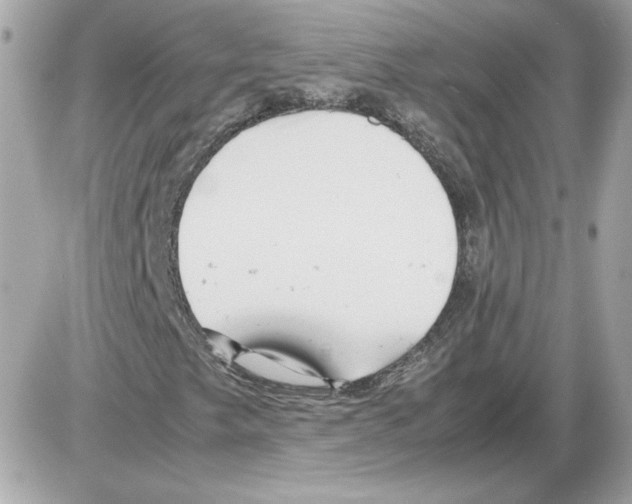 X0000085211249200704091857