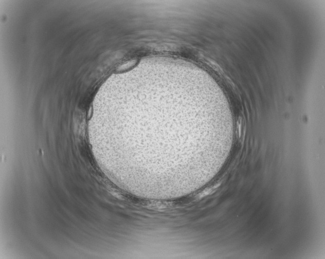 X0000085211251200704091857