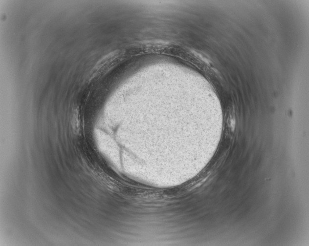 X0000085211252200704091857