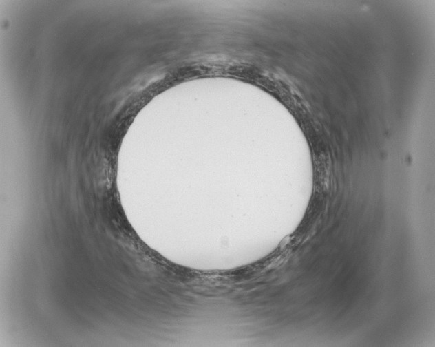 X0000085211253200704091857