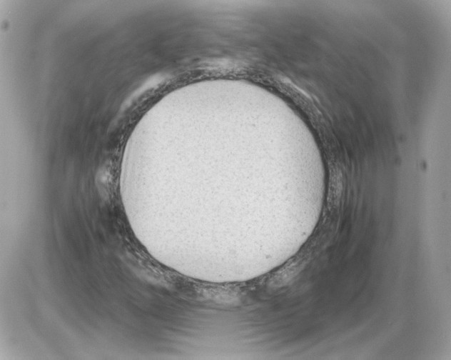 X0000085211254200704091857