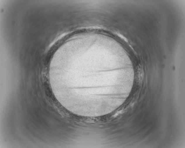 X0000085211255200704091857