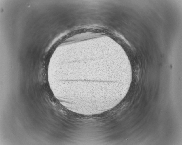 X0000085211256200704091857