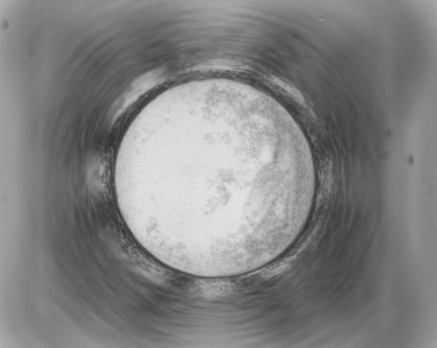 X0000085211258200704091857