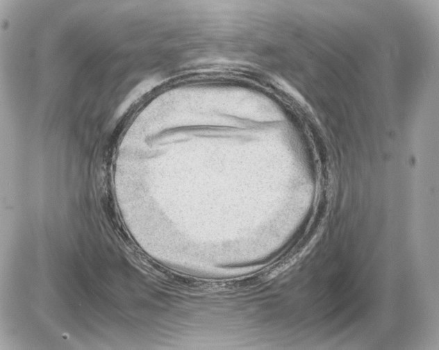 X0000085211259200704091857