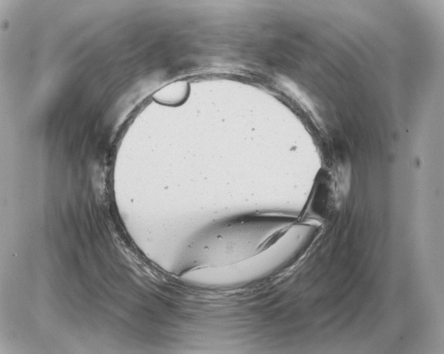 X0000085211260200704091857