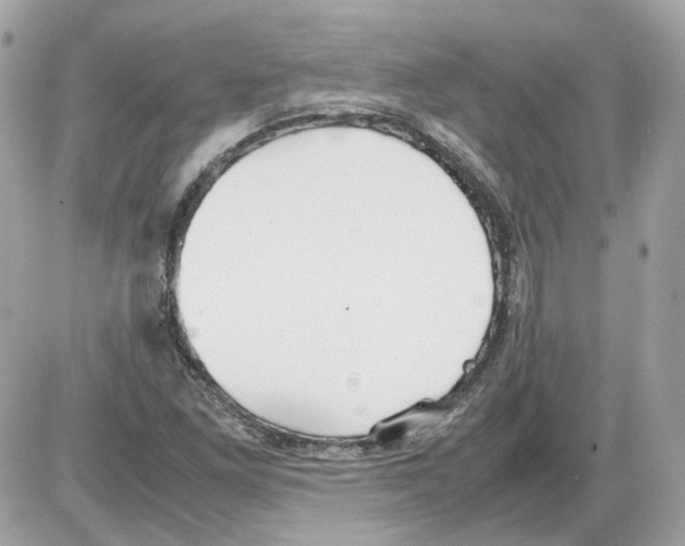 X0000085211261200704091857