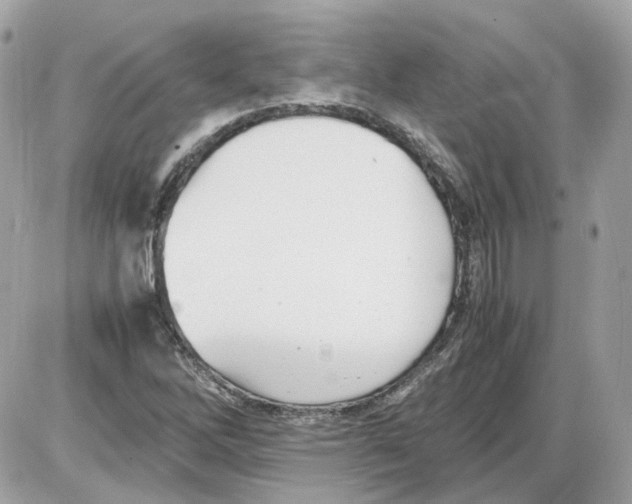 X0000085211262200704091857