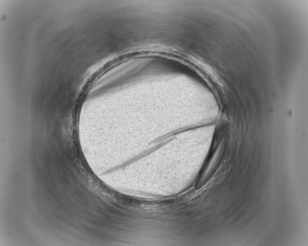 X0000085211264200704091857