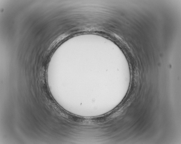 X0000085211265200704091857