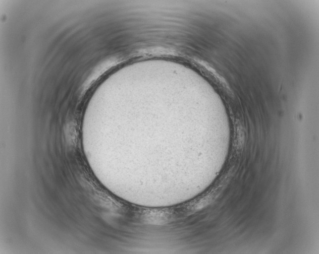 X0000085211266200704091857