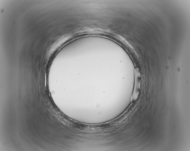 X0000085211269200704091857