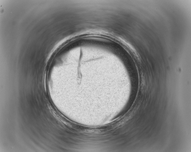 X0000085211272200704091857