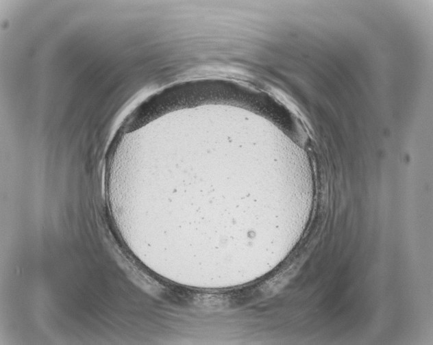 X0000085211275200704091857