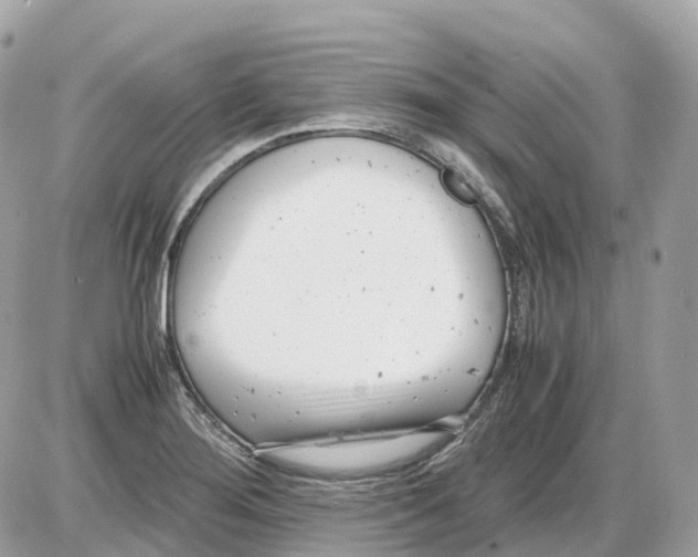 X0000085211276200704091857