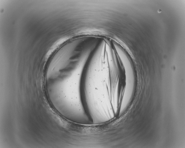 X0000085211277200704091857