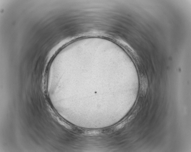 X0000085211278200704091857