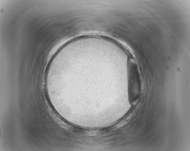 X0000085211279200704091857