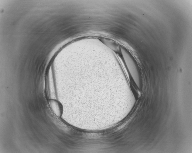 X0000085211280200704091857