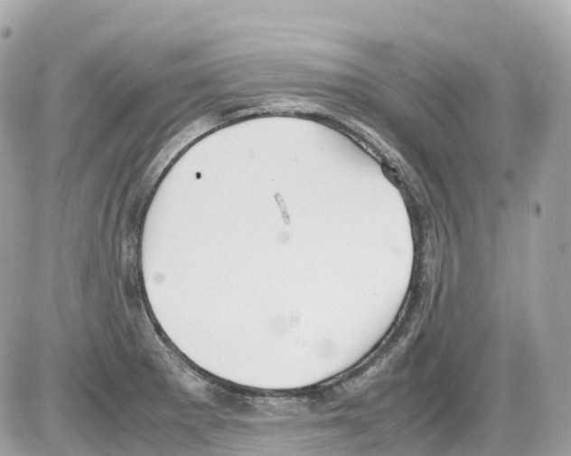 X0000085211281200704091857