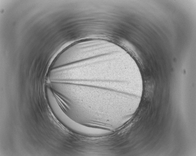 X0000085211284200704091857