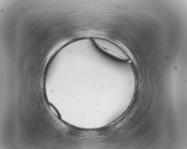 X0000085211285200704091857