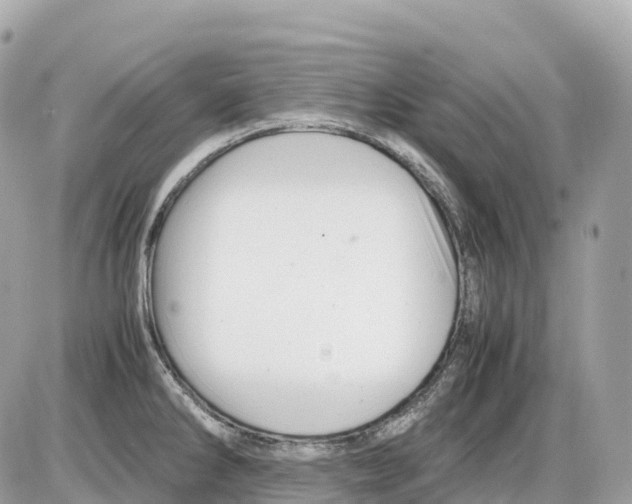 X0000085211286200704091857