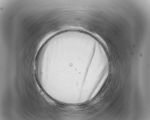 X0000085211287200704091857