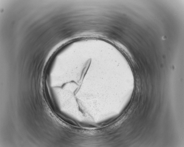 X0000085211288200704091857