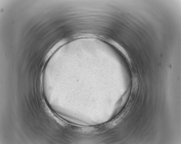 X0000085211290200704091857