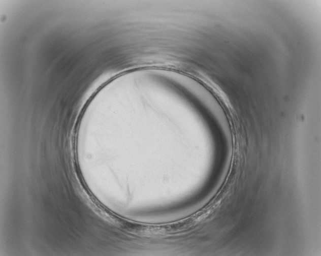 X0000085211291200704091857