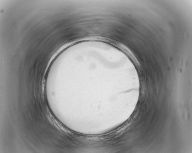 X0000085211292200704091857