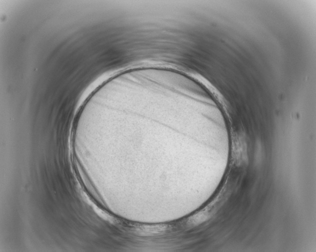 X0000085211294200704091857