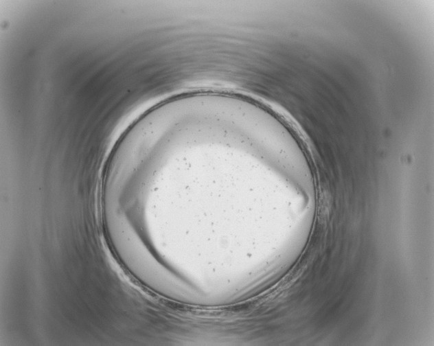 X0000085211295200704091857