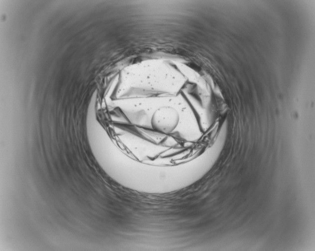 X0000085211298200704091856