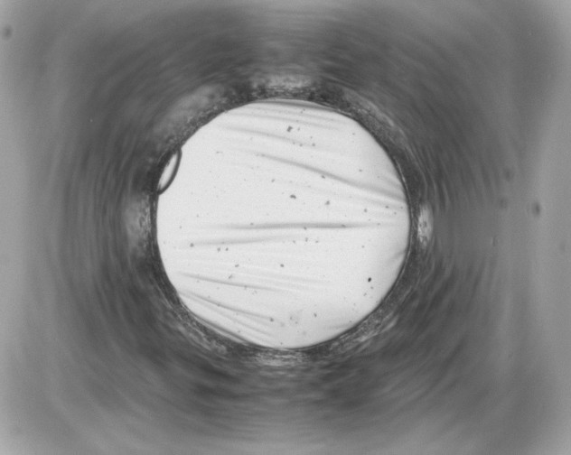 X0000085211299200704091856