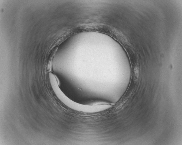 X0000085211300200704091856