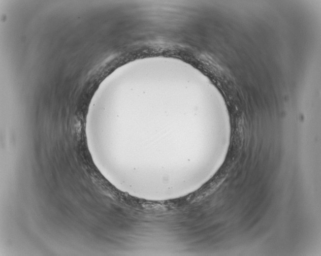 X0000085211302200704091856