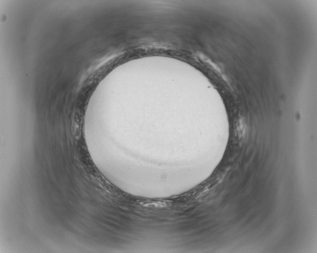 X0000085211303200704091856