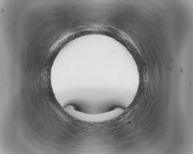 X0000085211304200704091856