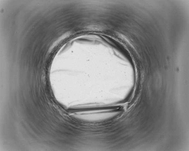 X0000085211307200704091856