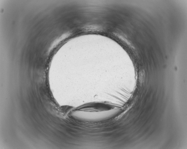 X0000085211309200704091856