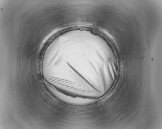 X0000085211310200704091856