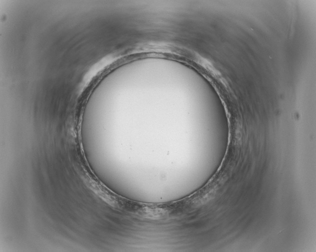 X0000085211312200704091856