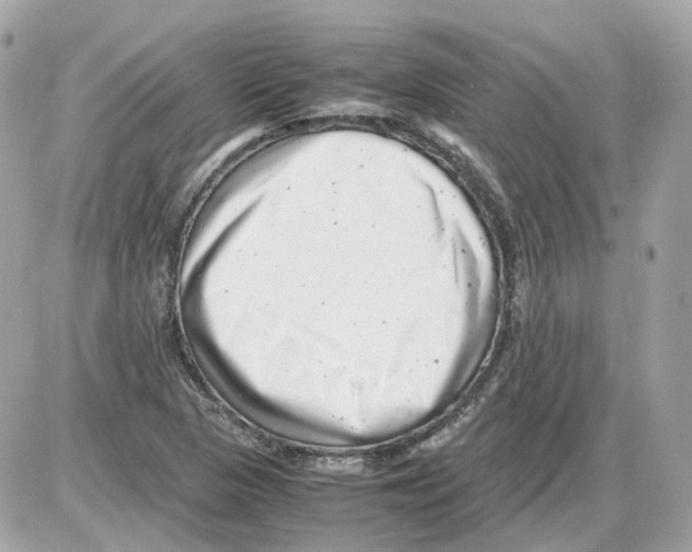 X0000085211313200704091856