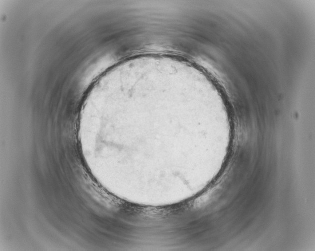 X0000085211314200704091856