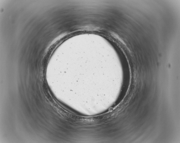 X0000085211315200704091856