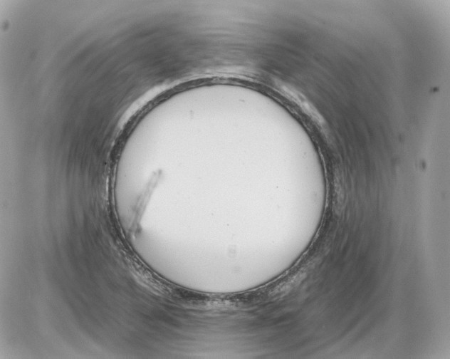 X0000085211316200704091856