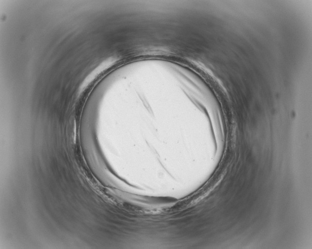 X0000085211317200704091856