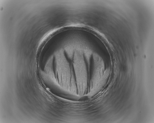 X0000085211319200704091856